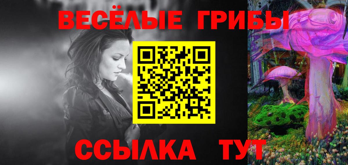 Галлюциногенные грибы Psilocybine cubensis Ипатово
